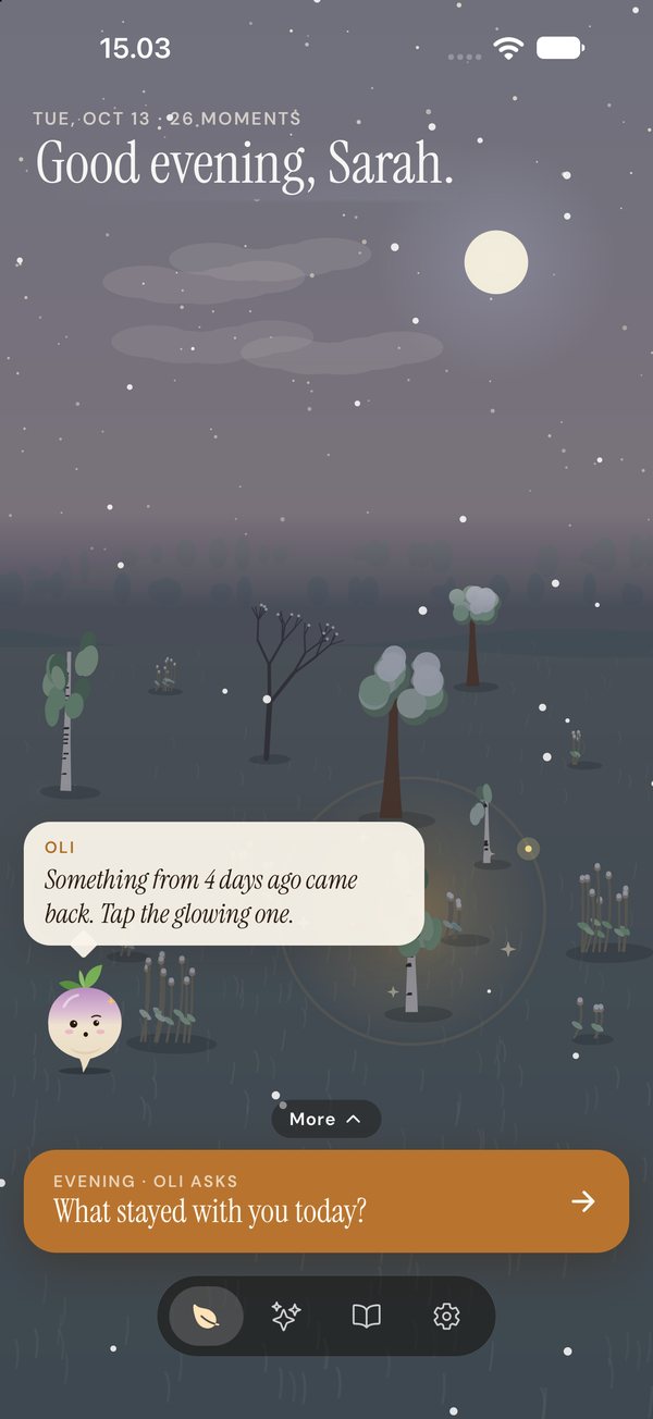 The garden at night under the moon and stars
